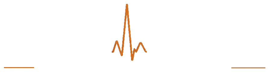 Pulse Elektrik Logo